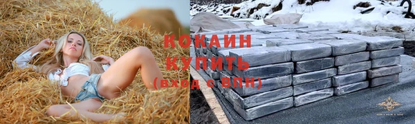 винт Бородино